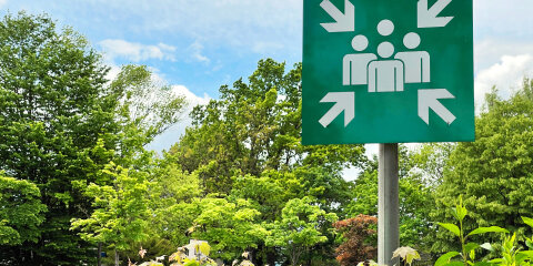 Schild Sammelpunkt für Evakuierung oder Notfall